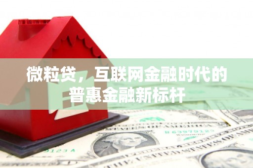 城区微粒贷，互联网金融时代的普惠金融新标杆