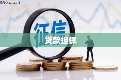 城区贷款担保