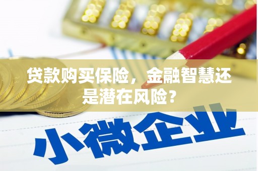 城区贷款购买保险，金融智慧还是潜在风险？