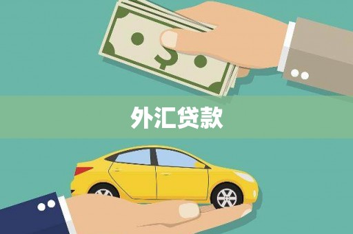 城区外汇贷款