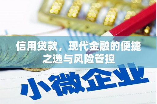 城区信用贷款，现代金融的便捷之选与风险管控