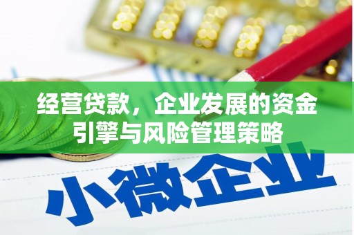城区经营贷款，企业发展的资金引擎与风险管理策略