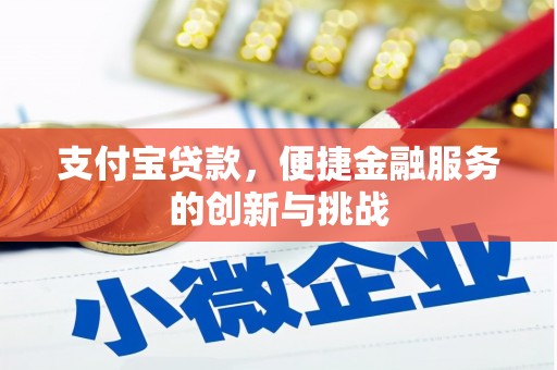 城区支付宝贷款，便捷金融服务的创新与挑战