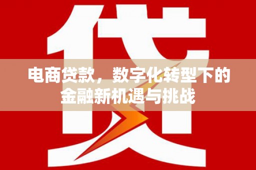 城区电商贷款，数字化转型下的金融新机遇与挑战