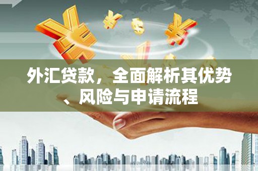 城区外汇贷款，全面解析其优势、风险与申请流程