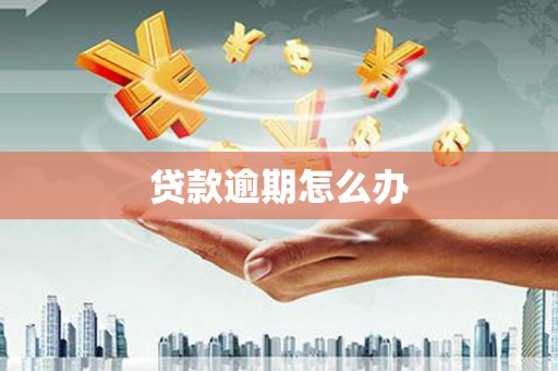 城区贷款逾期怎么办