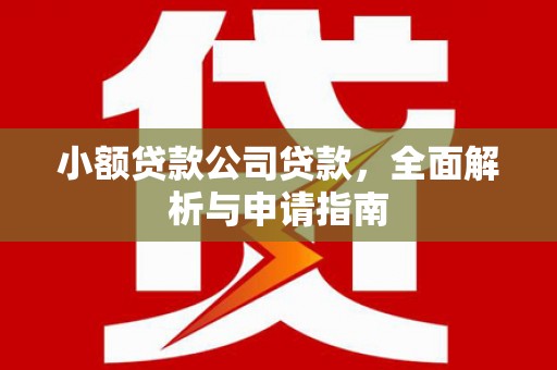 城区小额贷款公司贷款，全面解析与申请指南