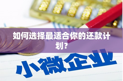 城区如何选择最适合你的还款计划？