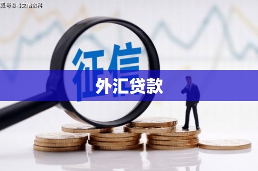 城区外汇贷款