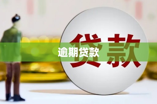 城区逾期贷款