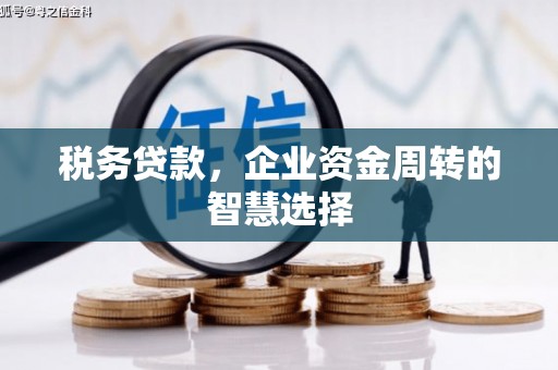 城区税务贷款，企业资金周转的智慧选择