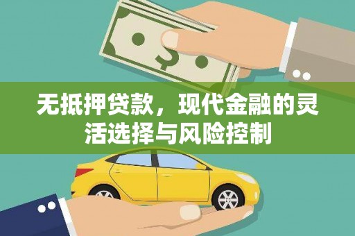 城区无抵押贷款，现代金融的灵活选择与风险控制