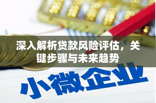 城区深入解析贷款风险评估，关键步骤与未来趋势