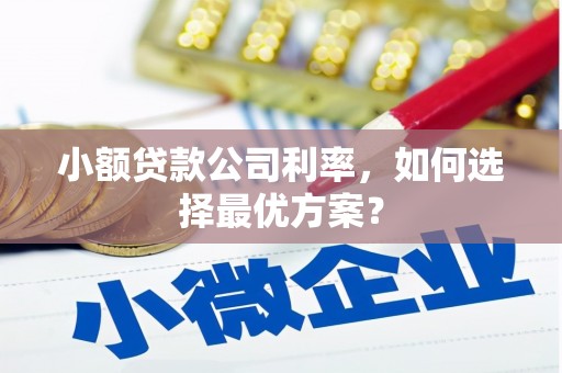 城区小额贷款公司利率，如何选择最优方案？