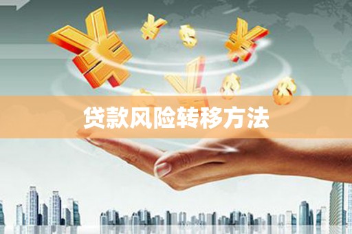 城区贷款风险转移方法