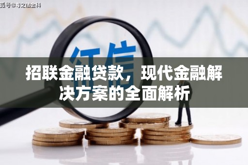 城区招联金融贷款，现代金融解决方案的全面解析