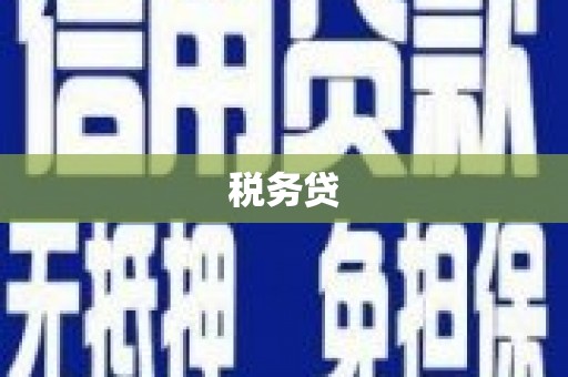 城区税务贷