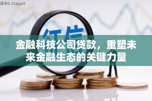 城区金融科技公司贷款，重塑未来金融生态的关键力量