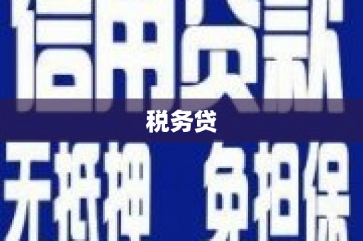 城区税务贷