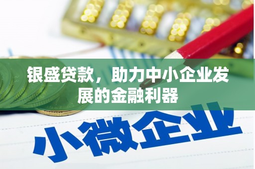 城区银盛贷款，助力中小企业发展的金融利器