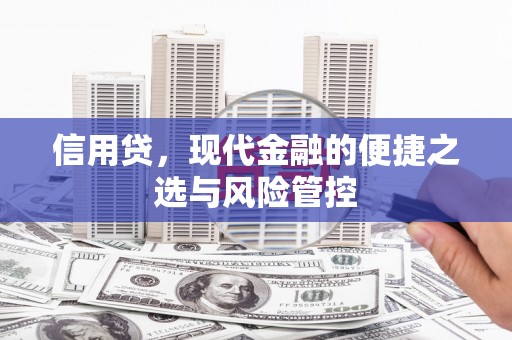 城区信用贷，现代金融的便捷之选与风险管控