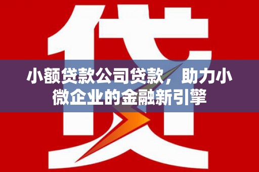 城区小额贷款公司贷款，助力小微企业的金融新引擎