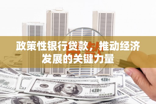 城区政策性银行贷款，推动经济发展的关键力量