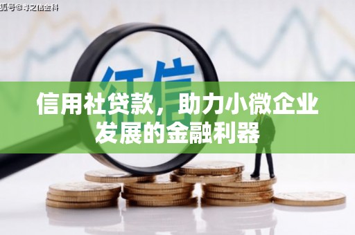 城区信用社贷款，助力小微企业发展的金融利器