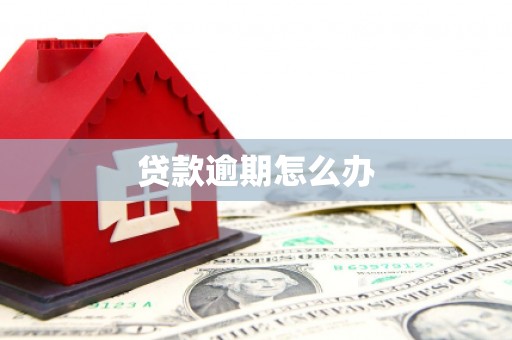 城区贷款逾期怎么办