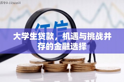 城区大学生贷款，机遇与挑战并存的金融选择