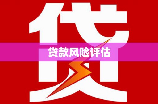 城区贷款风险评估