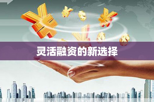城区灵活融资的新选择