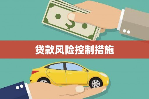 城区贷款风险控制措施
