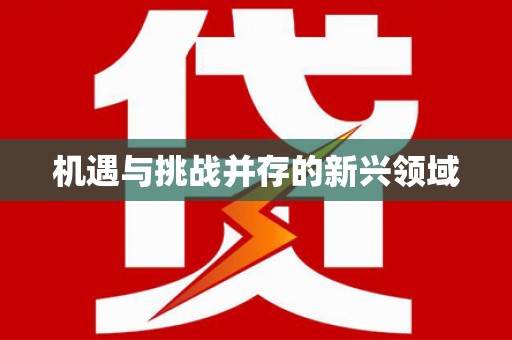 城区机遇与挑战并存的新兴领域