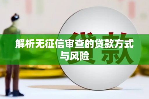 城区解析无征信审查的贷款方式与风险