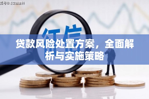 城区贷款风险处置方案，全面解析与实施策略