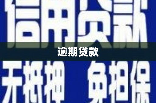 城区逾期贷款