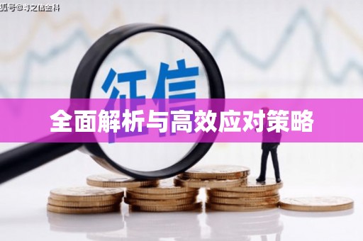 城区全面解析与高效应对策略