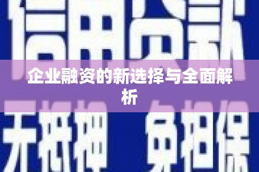 城区企业融资的新选择与全面解析