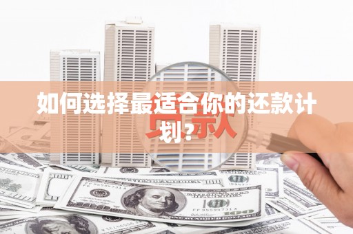 城区如何选择最适合你的还款计划？