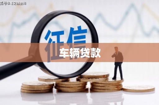 城区车辆贷款