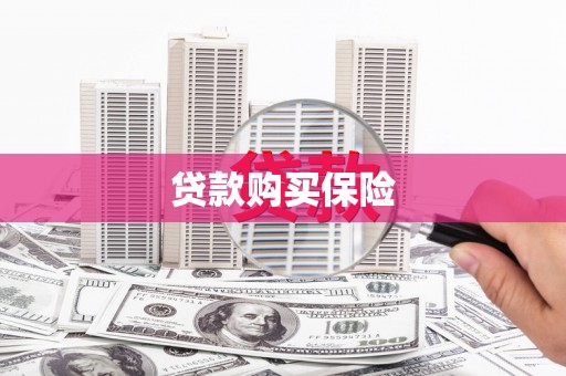 城区贷款购买保险